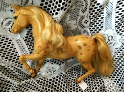 golden horse spots
